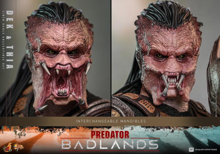 Hot Toys Predator: Badlands - Dek and Thia 1/6th Scale Collectible Set