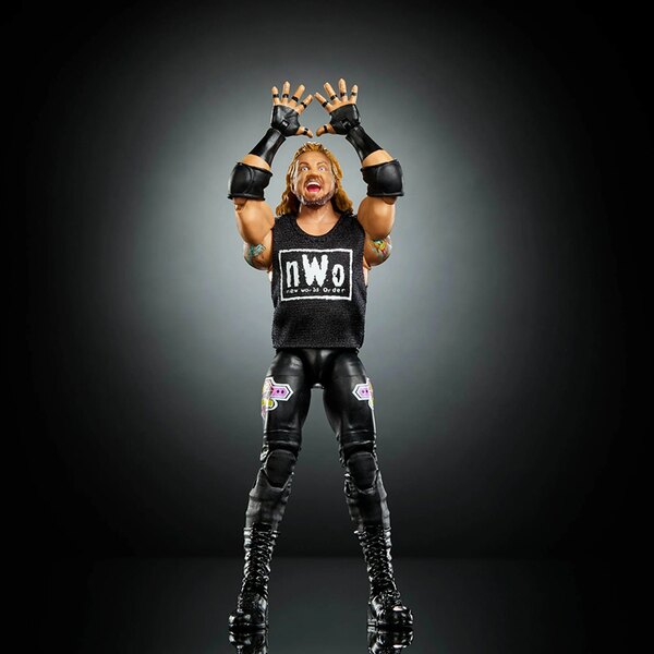 Diamond Dallas Page Figure - Image 3