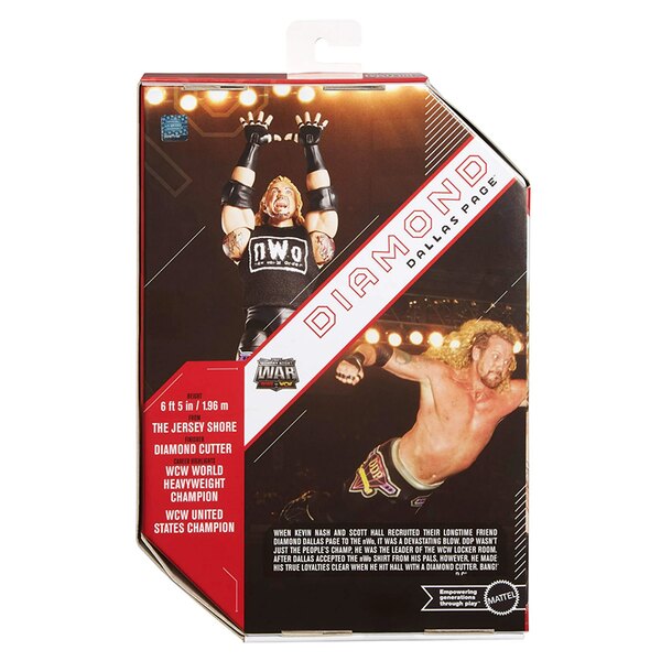 Diamond Dallas Page Figure - Image 6